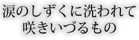 涙のしずくに洗われて咲きいづるもの